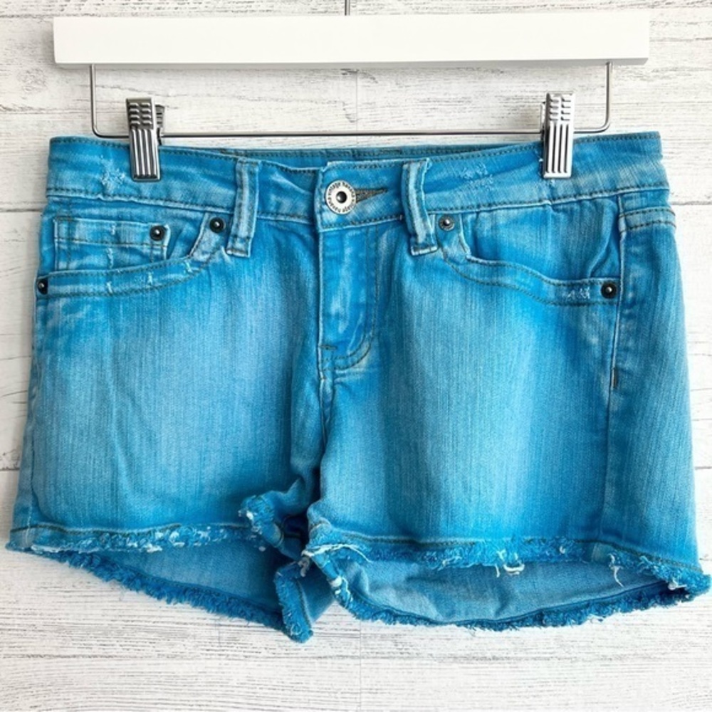 Vintage Havana Blue Shorts